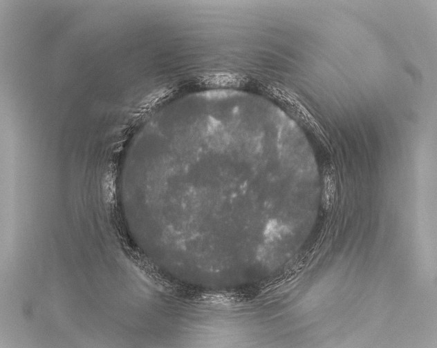 X0000114180259200911191313