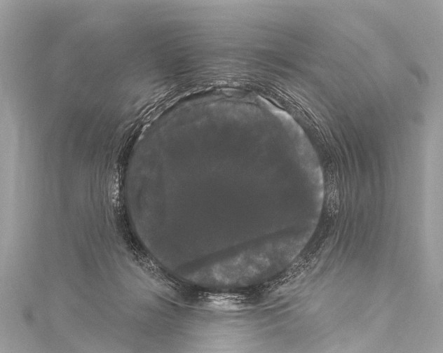 X0000114180268200911191313