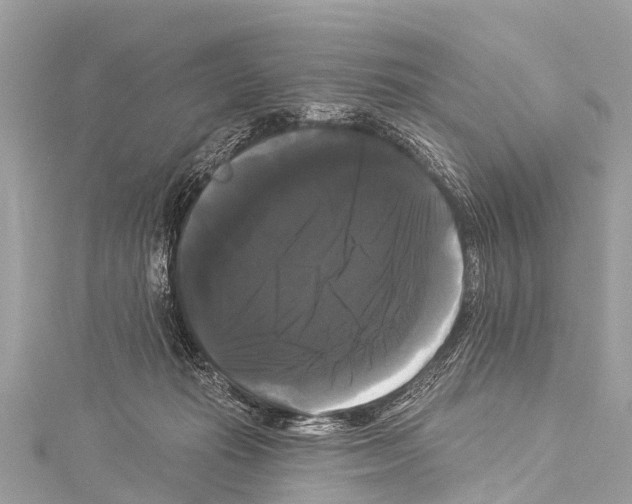 X0000114180269200911191313