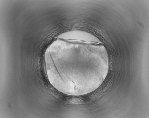 X0000114180270200911191313