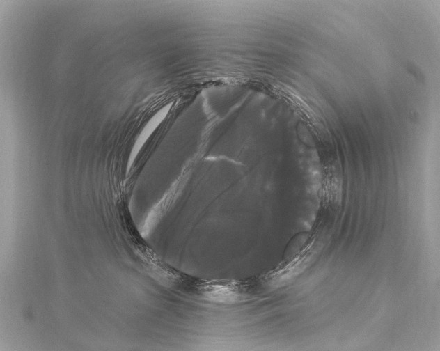 X0000114180285200911191314