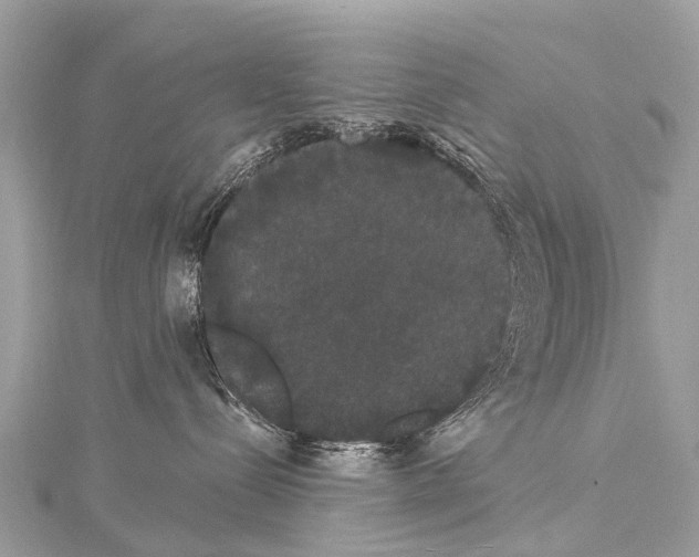 X0000114180288200911191314