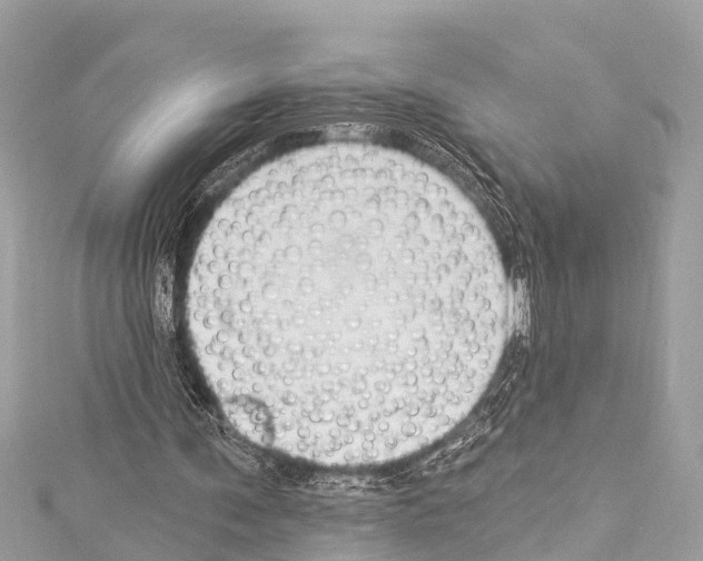 X0000114180291200911191313