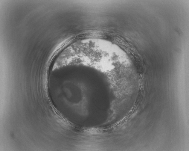 X0000114180293200911191313