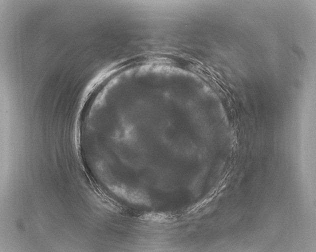 X0000114180294200911191313