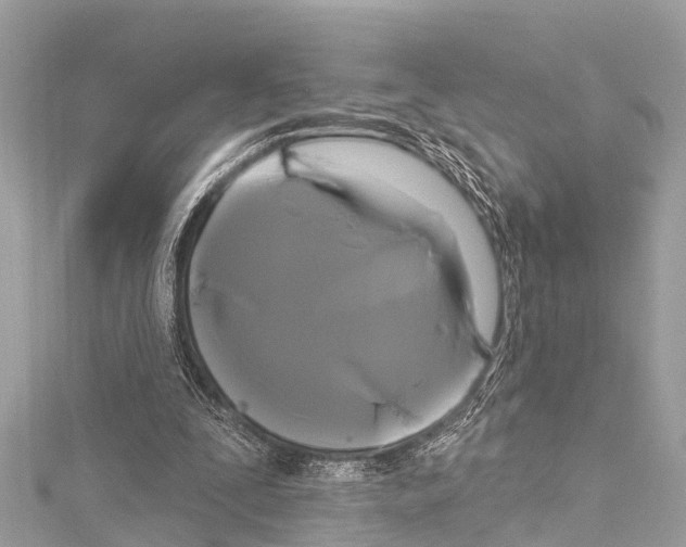 X0000114180295200911191313