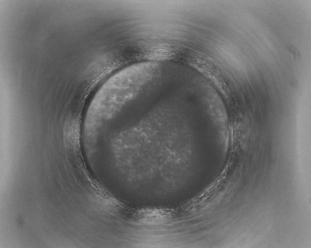 X0000114180297200911191313