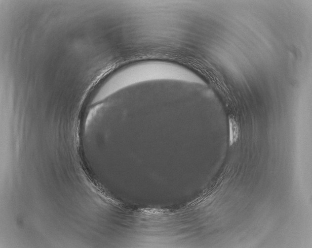 X0000114180300200911191313