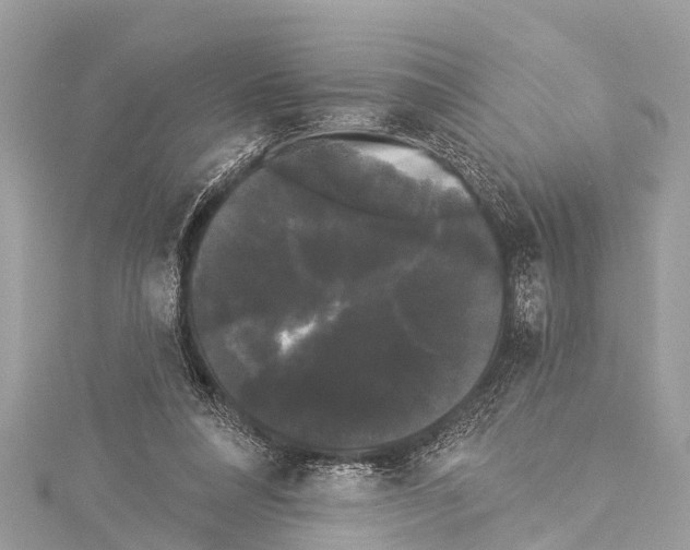 X0000114180304200911191313