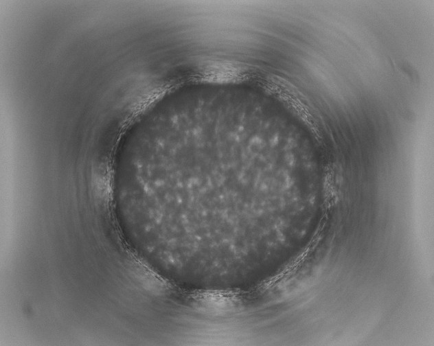 X0000114180305200911191313