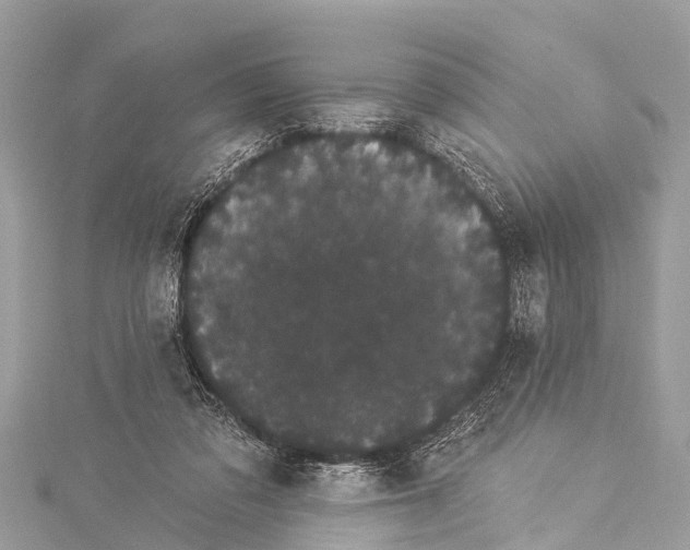 X0000114180309200911191313