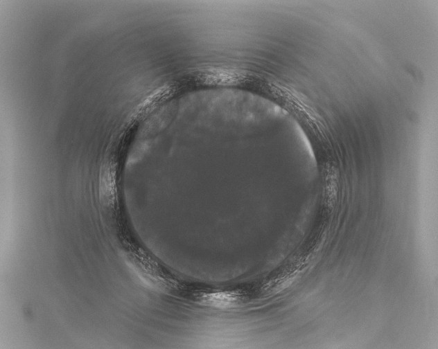 X0000114180312200911191313