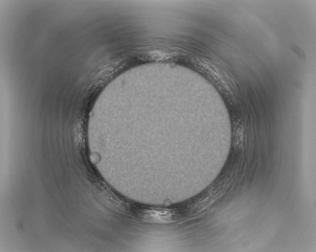 X0000114180317200911191313