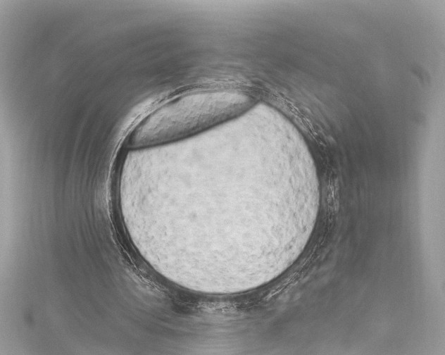 X0000114180340200911191312