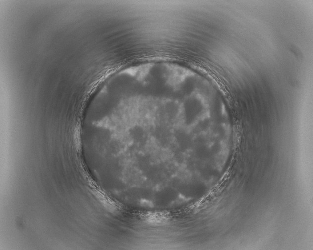 X0000114180345200911191312