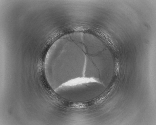 X0000114180367200911191312