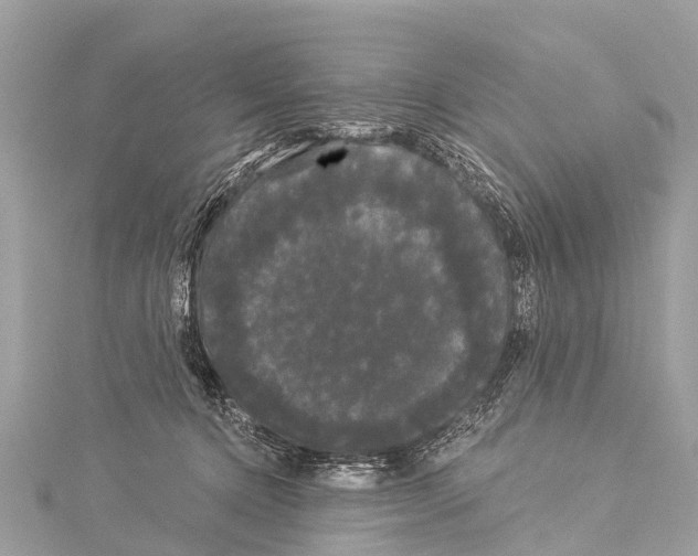 X0000114180368200911191312