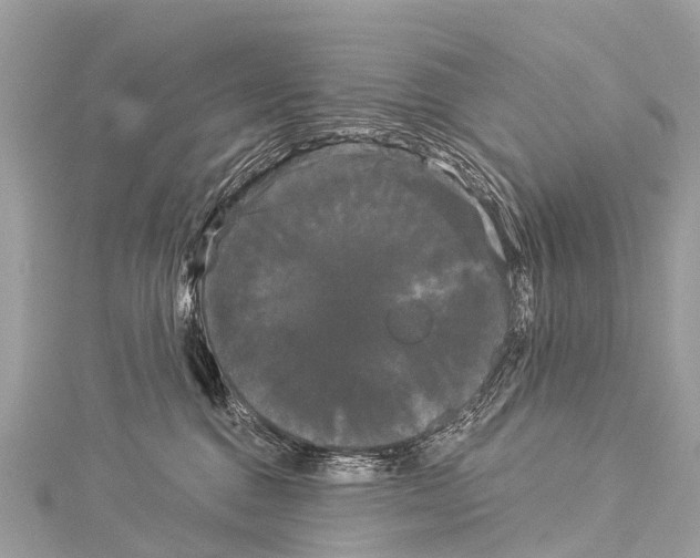 X0000114180376200911191312