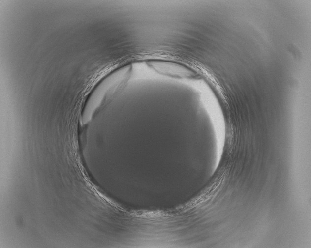 X0000114180385200911191312