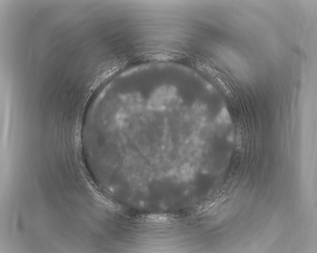 X0000114180394200911191312