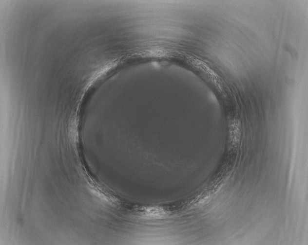 X0000114180395200911191312