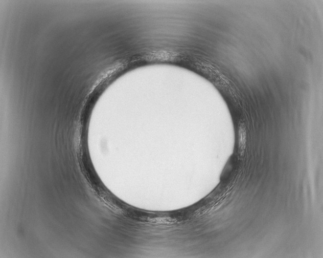 X0000114180396200911191312