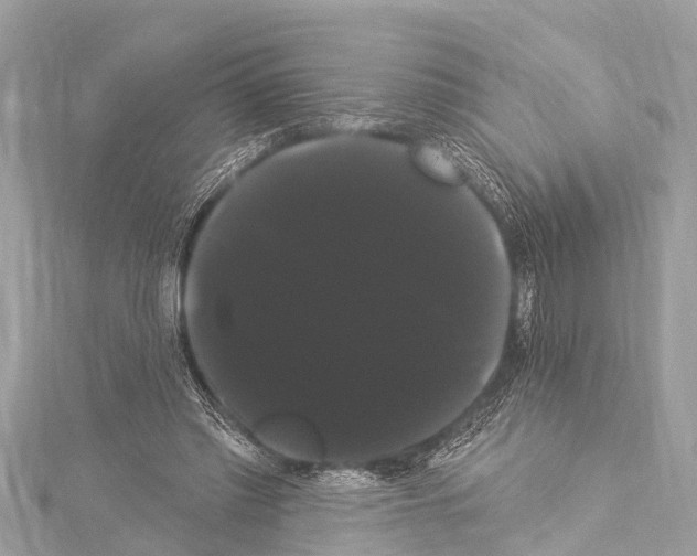 X0000114180397200911191311