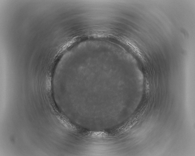 X0000114180401200911191311