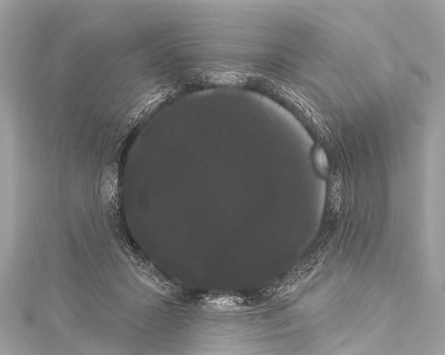 X0000114180407200911191311