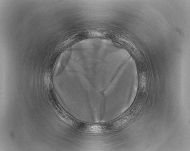 X0000114180409200911191311