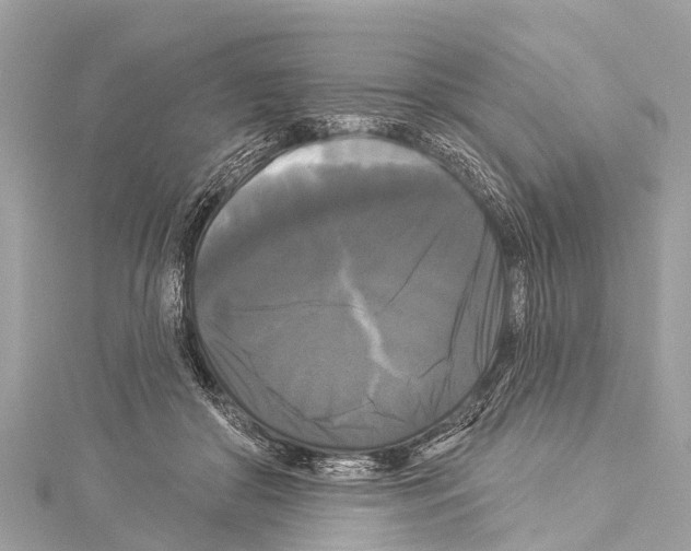 X0000114180410200911191311