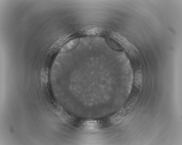 X0000114180413200911191311