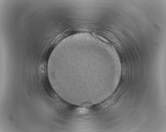 X0000114180425200911191311