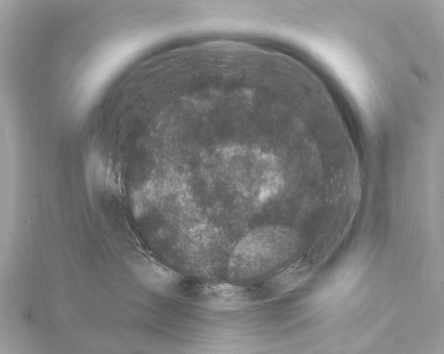 X0000114180431200911191311