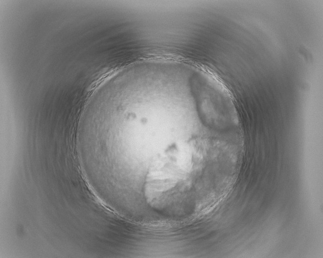 X0000114180433200911191310