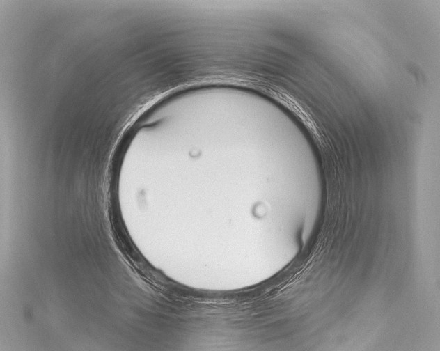 X0000114180436200911191310