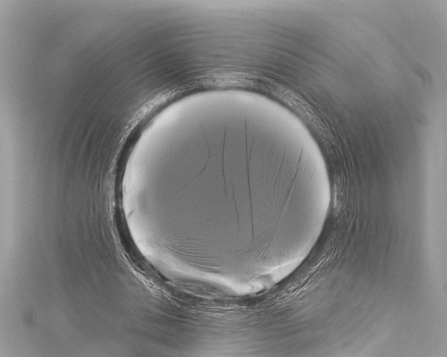 X0000114180438200911191310