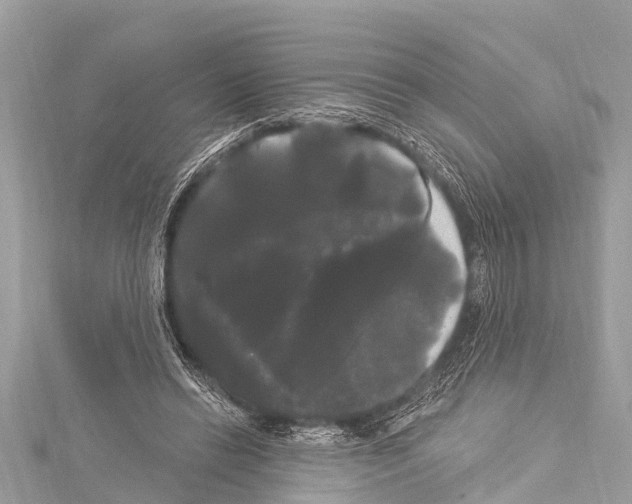 X0000114180446200911191311