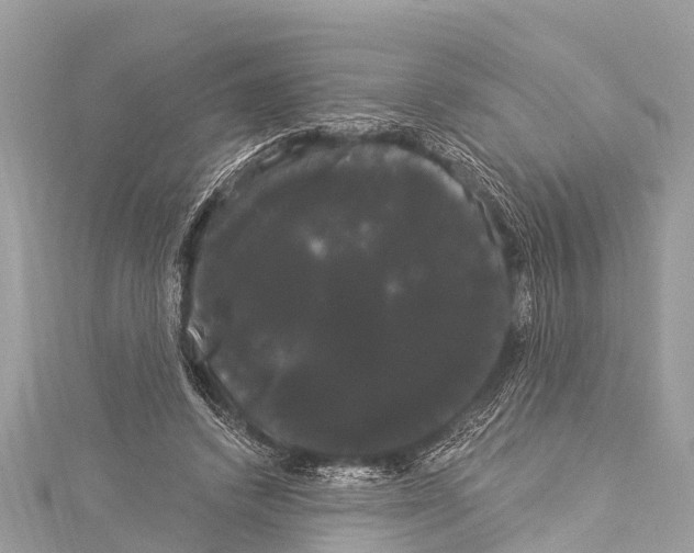 X0000114180448200911191311