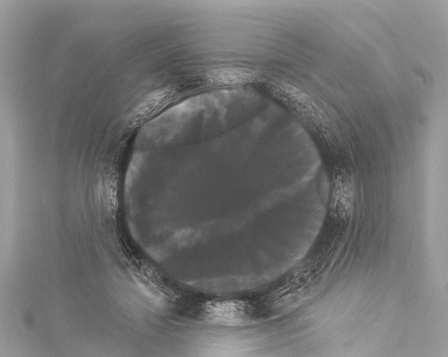 X0000114180452200911191311