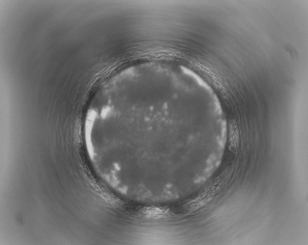 X0000114180453200911191311