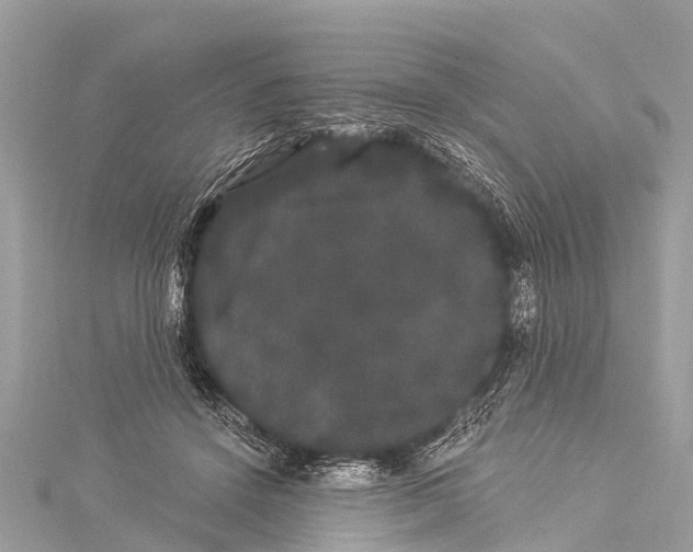 X0000114180456200911191311