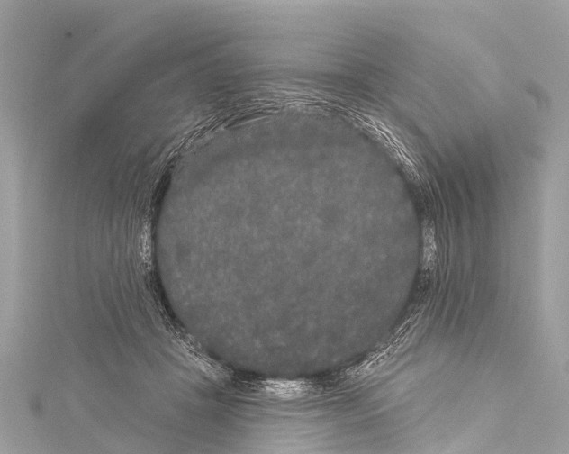 X0000114180457200911191311