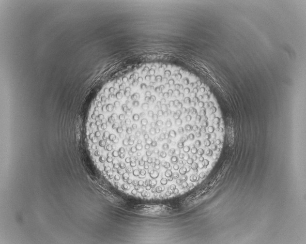 X0000114180458200911191311