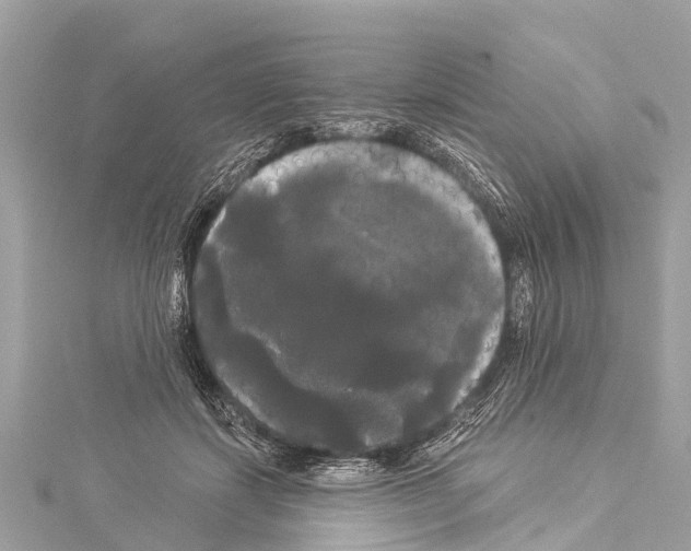 X0000114180459200911191311