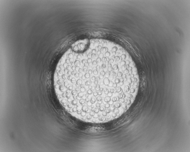 X0000114180466200911191311