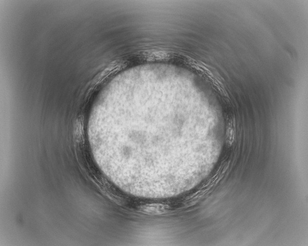 X0000114180468200911191311