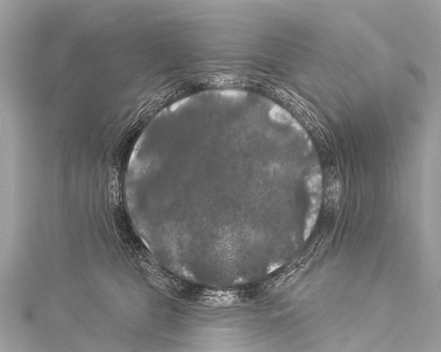 X0000114180469200911191311