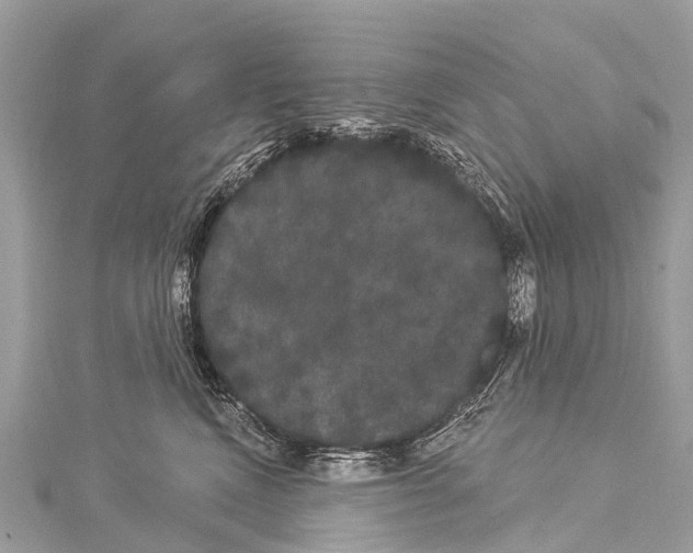 X0000114180472200911191311