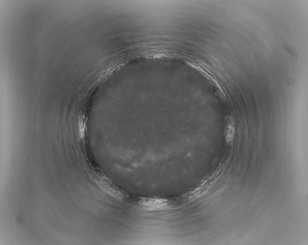 X0000114180476200911191311